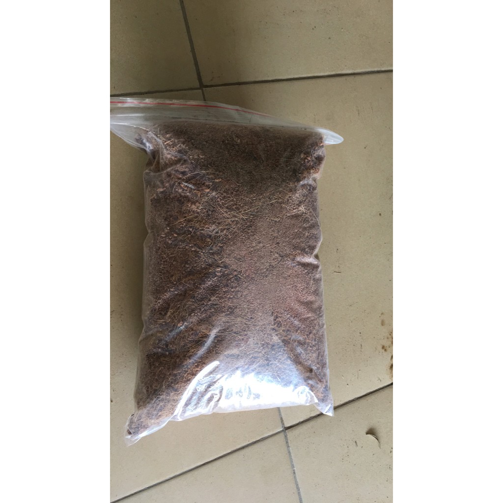 sơ dừa đã xử lý túi 2kg