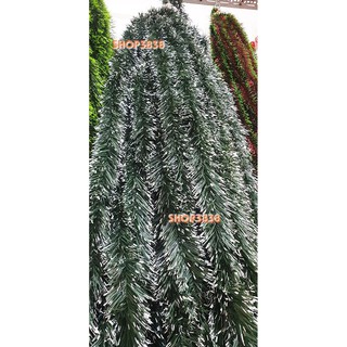 Combo 3 Dây Chồn ( 2m / 1 Dây ) Treo Trang Trí Noel ( Loại đẹp )