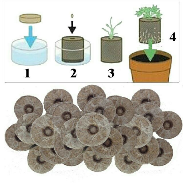 Viên nén nảy mầm 10/20/50 viên