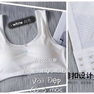 Combo 3 áo chip cho học sinh
