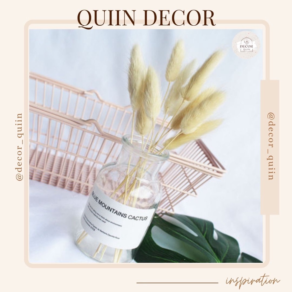 🤗Lọ hoa thủy tinh bắc âucỏ đuôi thỏ❤️[Freeship] 10 bông nhiều màu sắc hoa khô trang trí vintage decor quán