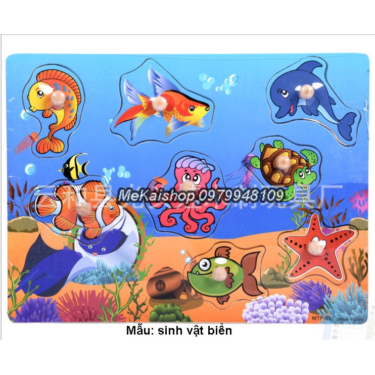 Bảng ghép gỗ có núm cầm dạy nhận biết