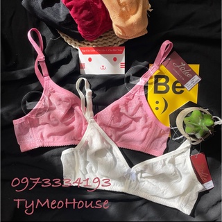 🌱 Áo Không Gọng MỎNG MỊN 🌱 Made in VN 🥇