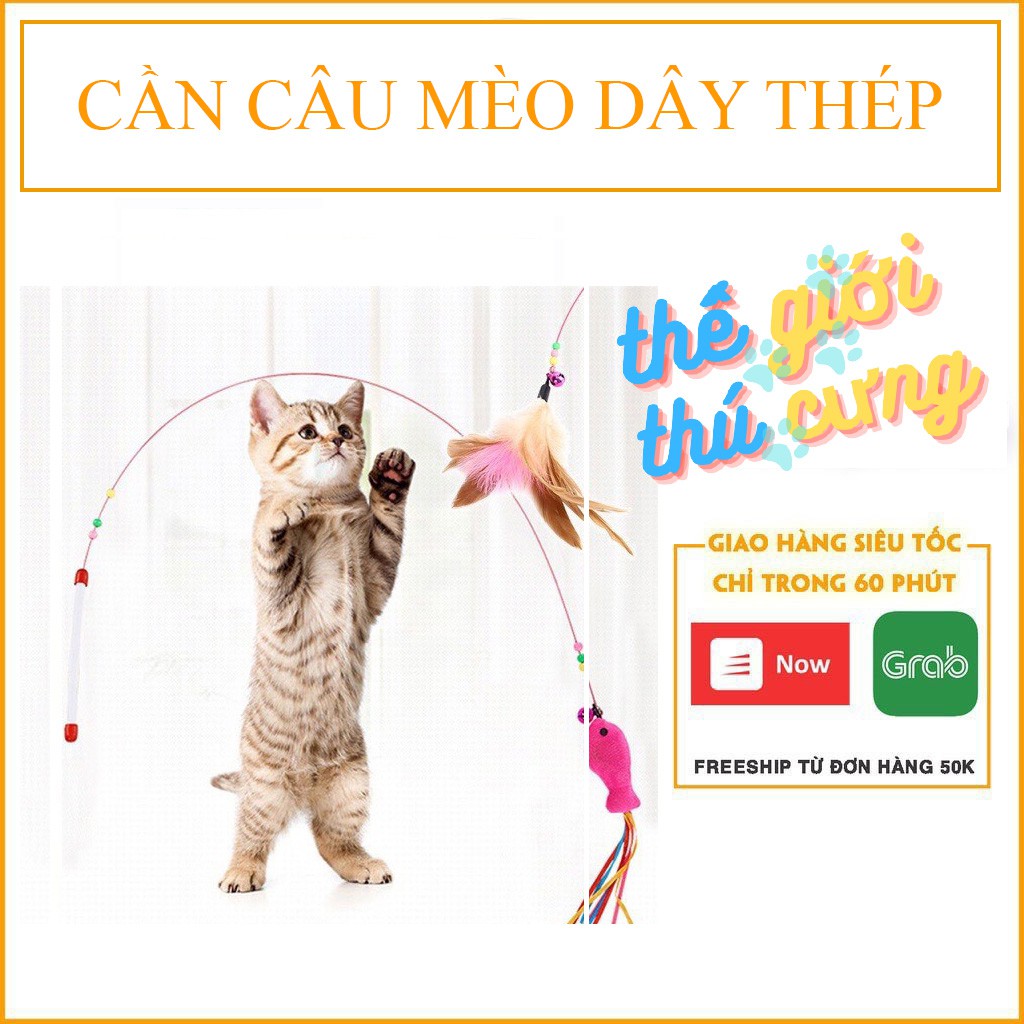 CẦN CÂU MÈO DÂY THÉP.