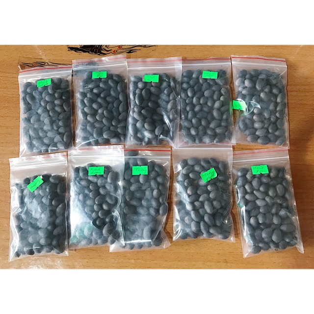 COMBO 10 HẠT GIỐNG SEN MINI NHẬT 10 MÀU