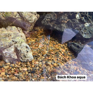 SỎI SUỐI THIÊN NHIÊN