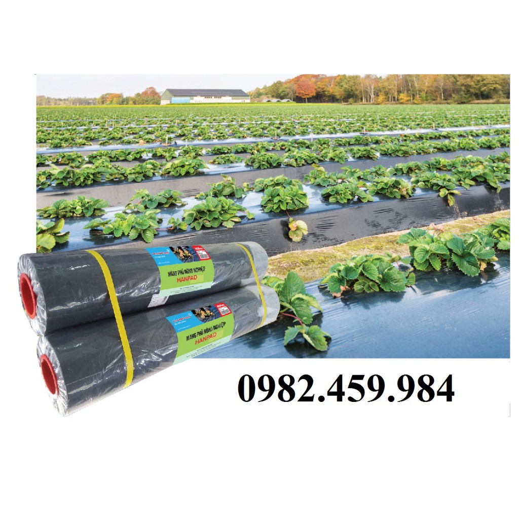 Màng Phủ Nông Nghiệp 1,4mx400mx15mic. Mặt Bac Và Đen Xuất Xứ Tại Việt Nam. Cuộn Được Gập Thành 0,7m Để Tiện Vận Chuyển