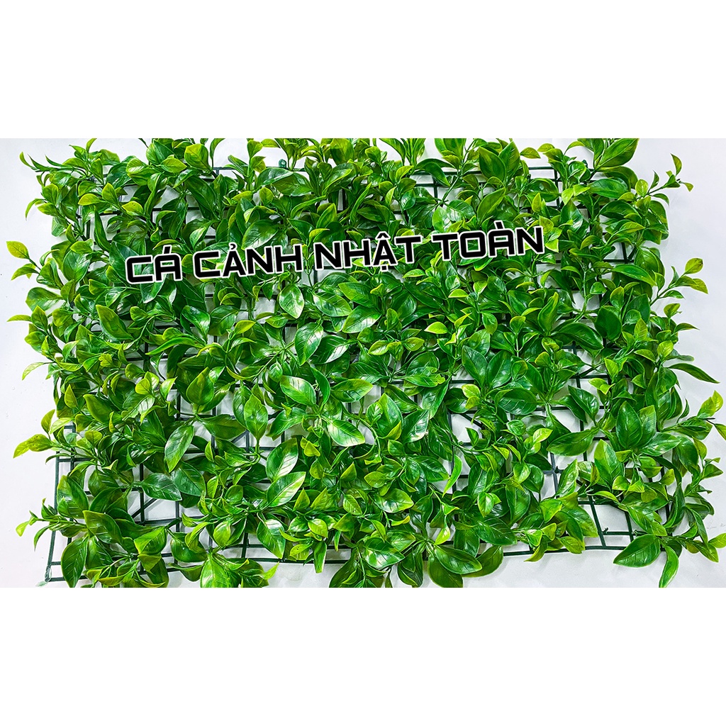 THẢM CỎ TRÀ NHÂN TẠO TRANG TRÍ BỂ CÁ, TIỂU CẢNH 60X40CM