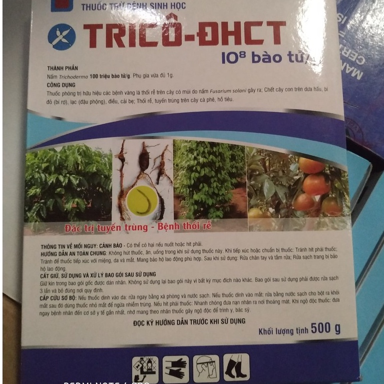 Nấm Đối Kháng Tricoderma - Thuốc Trừ Bệnh Sinh Học Nấm TRICHODERMA - TRICO ĐHCT (500gr)