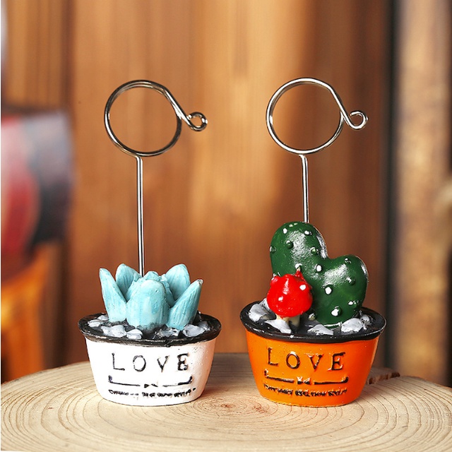 Kẹp ảnh Chậu cây xương rồng