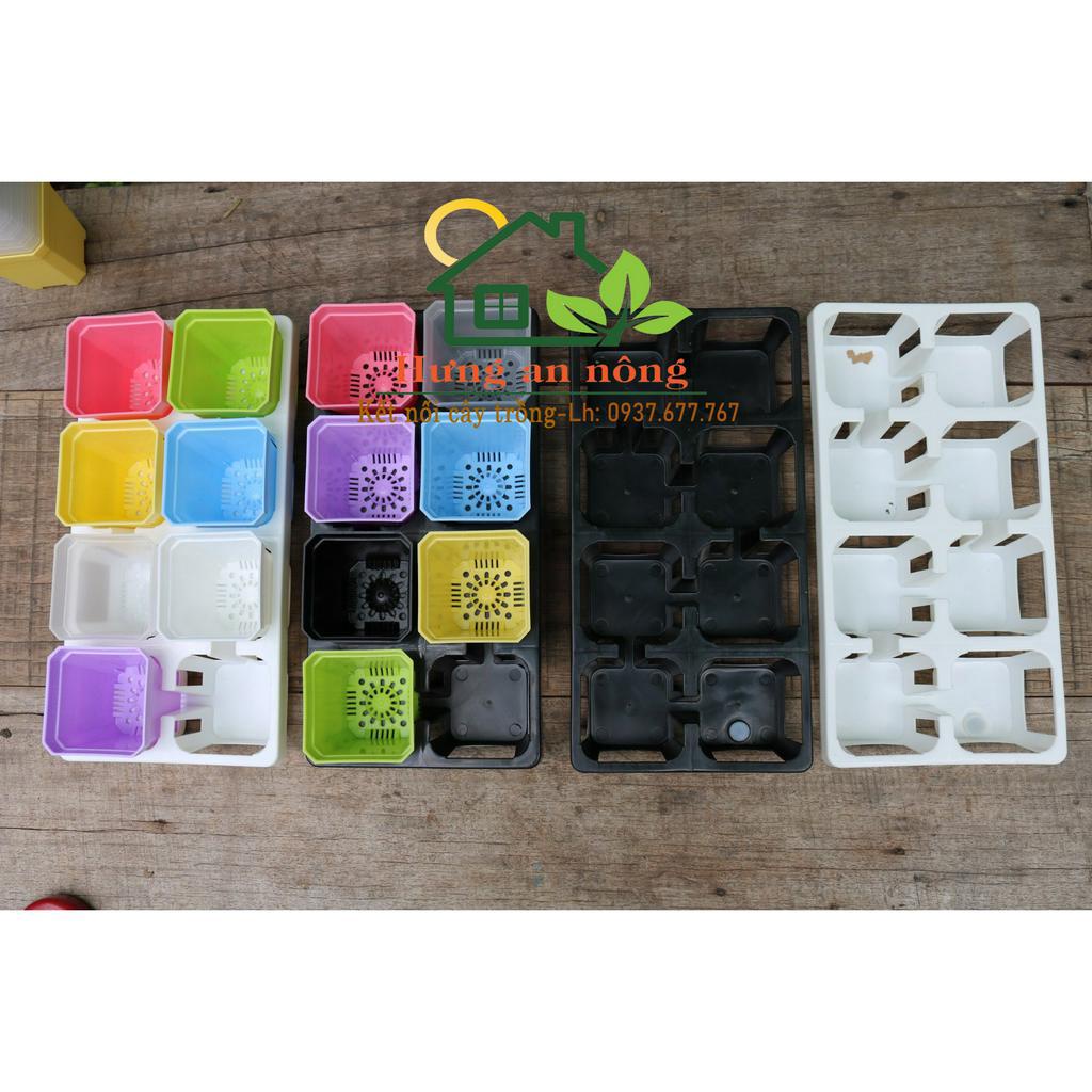 KCN8OV - khay chữ nhật 8 ô vuông dùng chứa chậu từ 6cm - 7cm trồng sen đá xương rồng tiện di dời