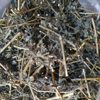 CỎ NGŨ SẮC ( CỨC LỢN) 100 gr