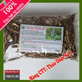 Đuôi chuột (cây mạch lạc) điều trị hở van tim, tiểu đường-1Kg SP CTY Thảo Dược Số 1
