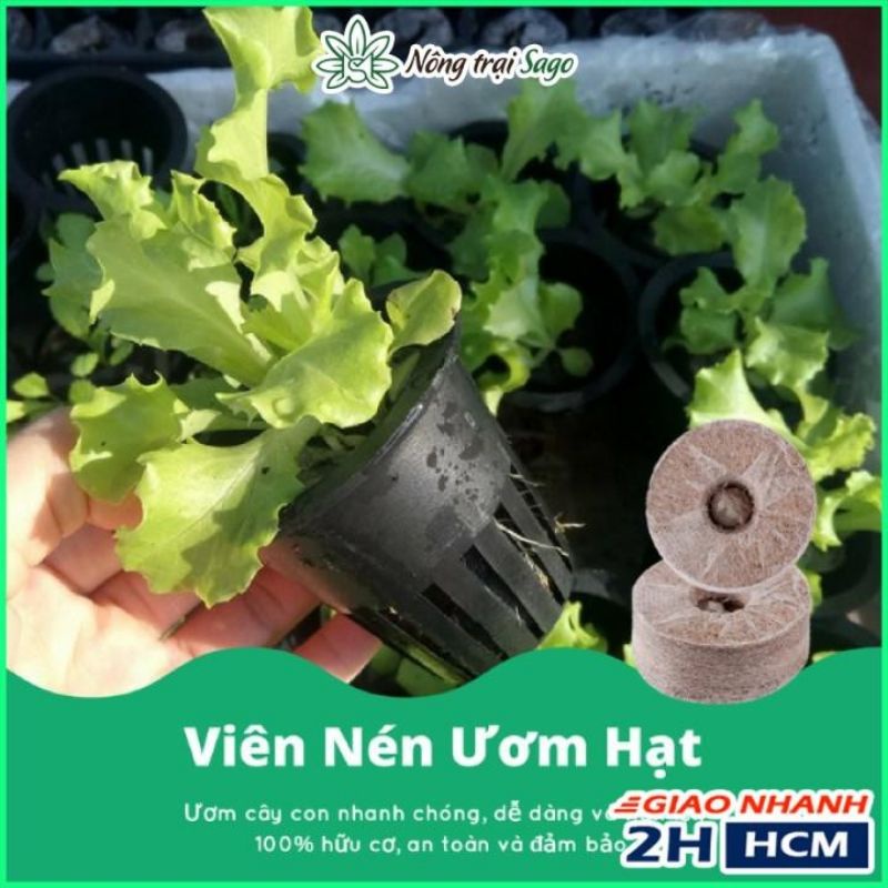 Viên Nén Xơ Dừa Ươm Hạt Giống Tiện Lợi, Chất Lượng Tốt