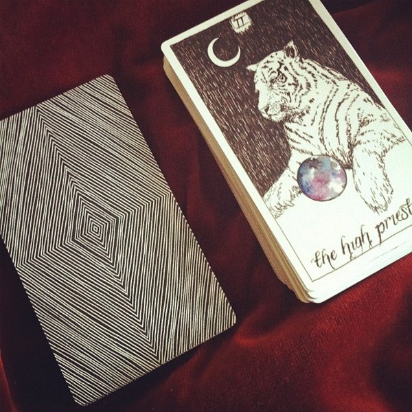 Wild Unknown Tarot (Mystic House Tarot Shop) - Bài Gốc Authentic Chính Hãng 100%