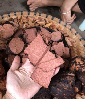 Cao hà thủ ô đỏ nhà làm