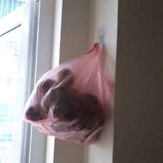 Móc treo siêu dính combo 100c