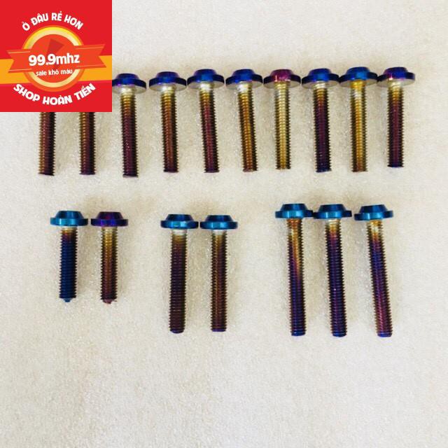 Bộ Ốc Lốc Máy Proti Titan Cho Wiiner 150 V1 17 Con