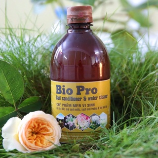 Chế Phẩm Men vi sinh cao cấp làm sạch bể nước, bể thuỷ sinh BIO PRO