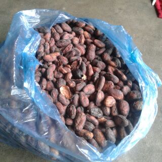 Hạt ca cao đã được ủ lên men 1kg.  0868761057