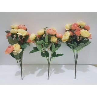 Hoa hồng trứng tiểu muội