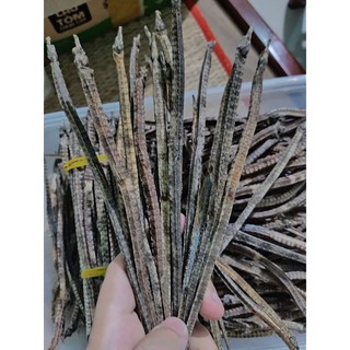 Hải Long Đen ( 10 con)