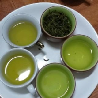 Trà bắc Thái Nguyên