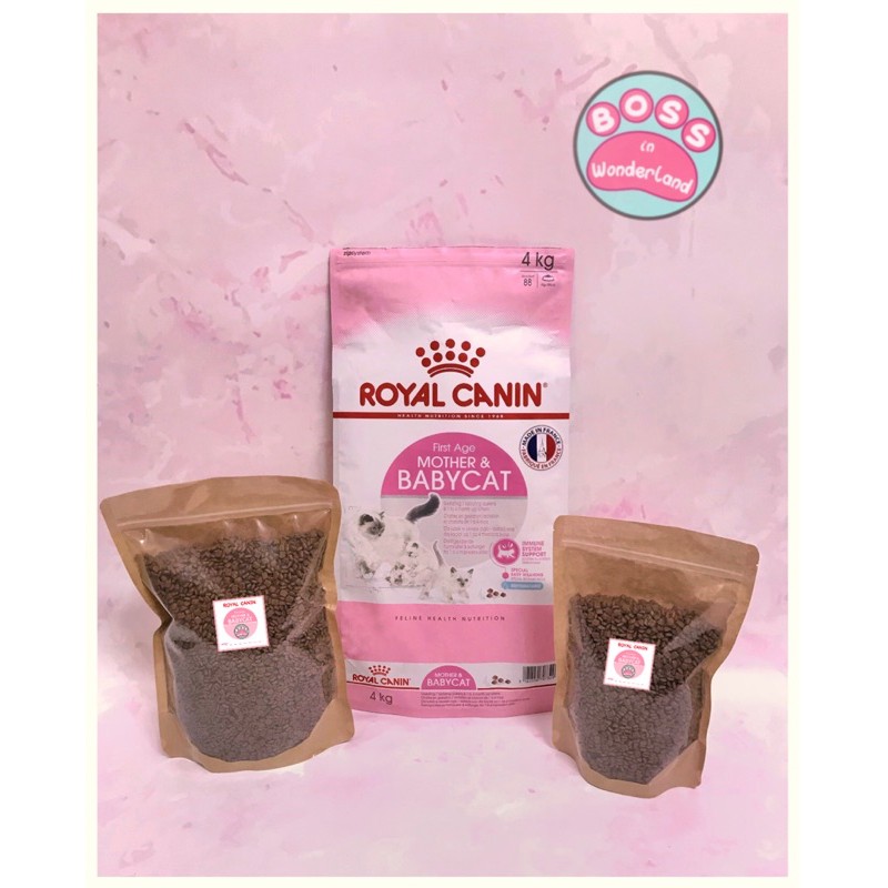 Hạt canin baby cho mèo mẹ và mèo con