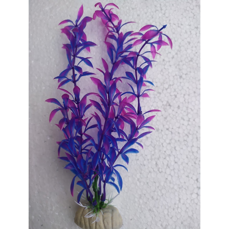 Cây Rong cao 22 cm Trang Trí Hồ Cá, Bể Cá-Hòn Non Bộ,..