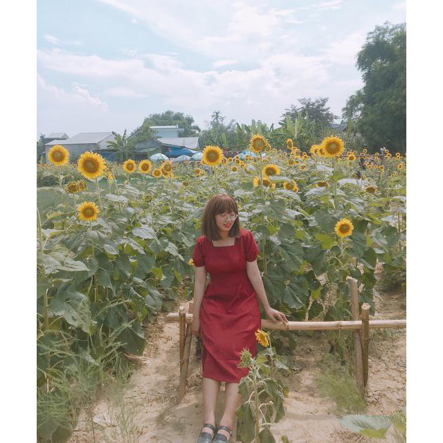 Váy Cổ Vuông Hai Màu Thắt Eo