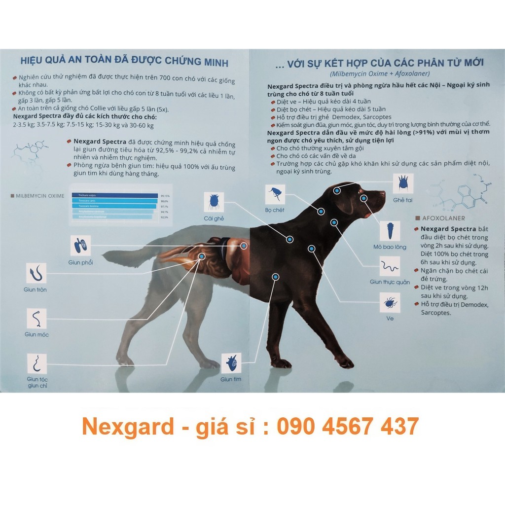 [HẾT VE 100%] Nexgard spectra 30-60KG (1 viên) vị thịt bò 🐮🐮, Sạch Ve, Rận, Bọ chét, Ghẻ, xổ giun chó (CHÍNH HÃNG VN)