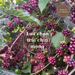 Cà phê nguyên chất 100% gói 500gr