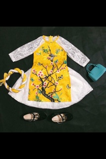 Combo phan ngọc