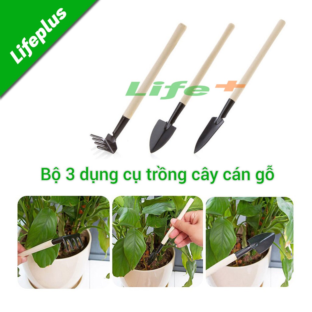 Bộ ba dụng cụ trồng cây cán gỗ