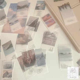 ST019 - STICKER THIÊN NHIÊN NGHỆ THUẬT
