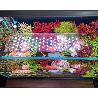 mạch led 5054 lên đèn đánh màu siêu đẹp