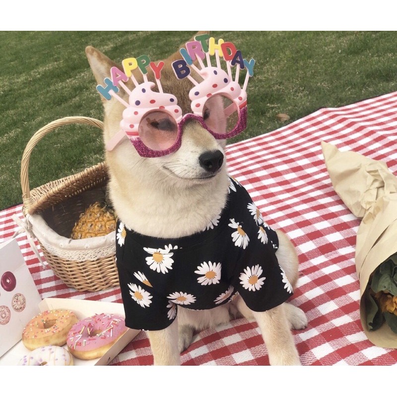 ÁO THUN THỜI TRANG CHO CHÓ MÈO HÌNH HOA CÚC - ÁO CHO THÚ CƯNG HOẠ TIẾT HOA CÚC