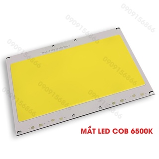 Mắt Led cob 200w (chạy qua chấn lưu) / Điện 150V