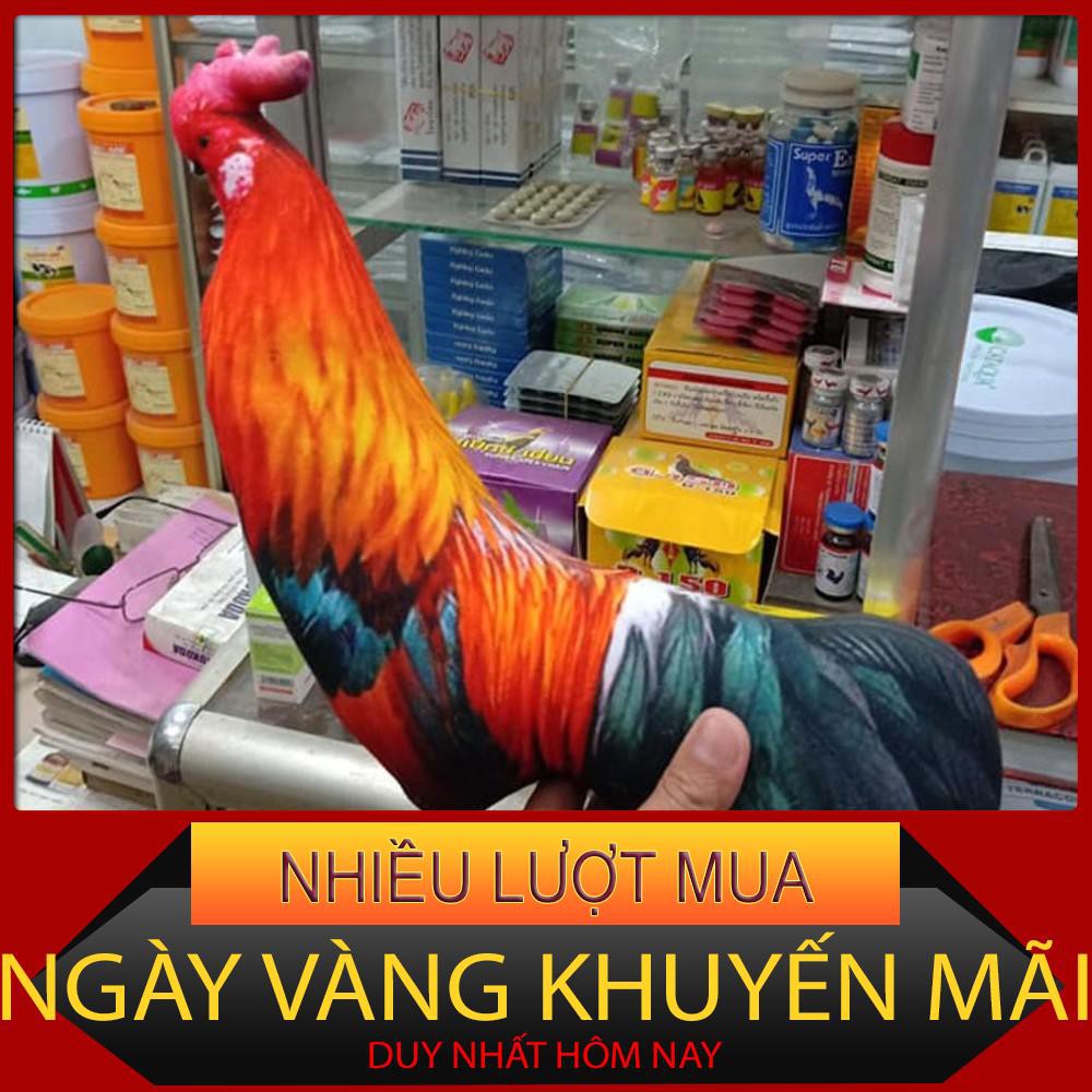 Gà giả tập lực cho gà loại tốt phụ kiện đá gà thuốc tăng lực gà đá