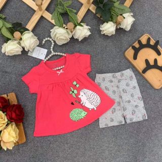 Combo 4 bộ xòe baby doll