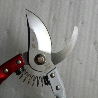 KÉO CẮT CÀNH NHẬT BẢN V7