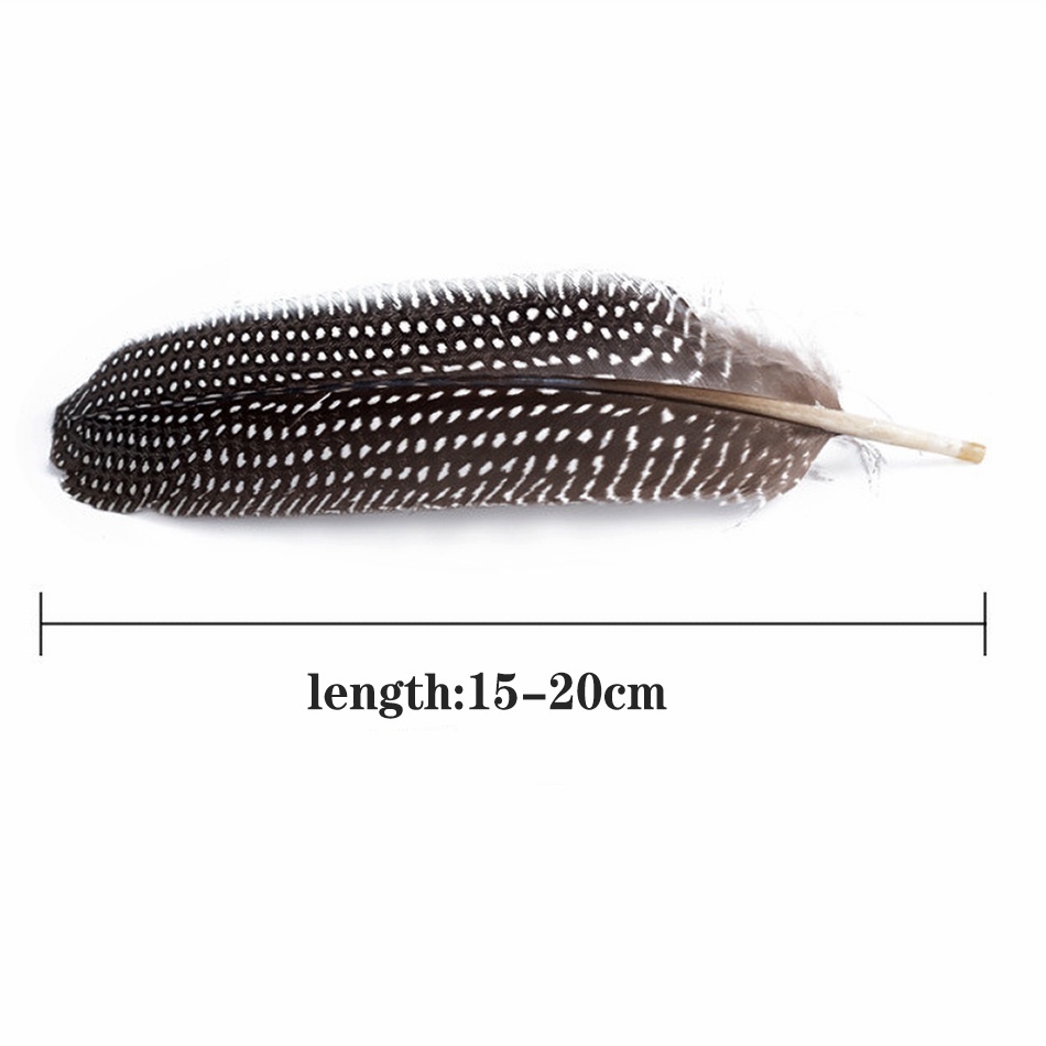 Bộ 10 Lông Vũ Tự Nhiên 15-20cm Dùng Làm Đồ Trang Sức