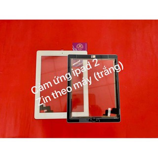 Cảm ứng Ipar 7 liền IC home