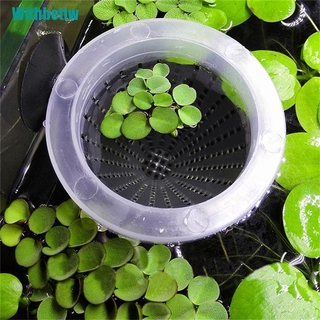 Set 4 Phễu Đựng Thức Ăn Cho Cá Cảnh