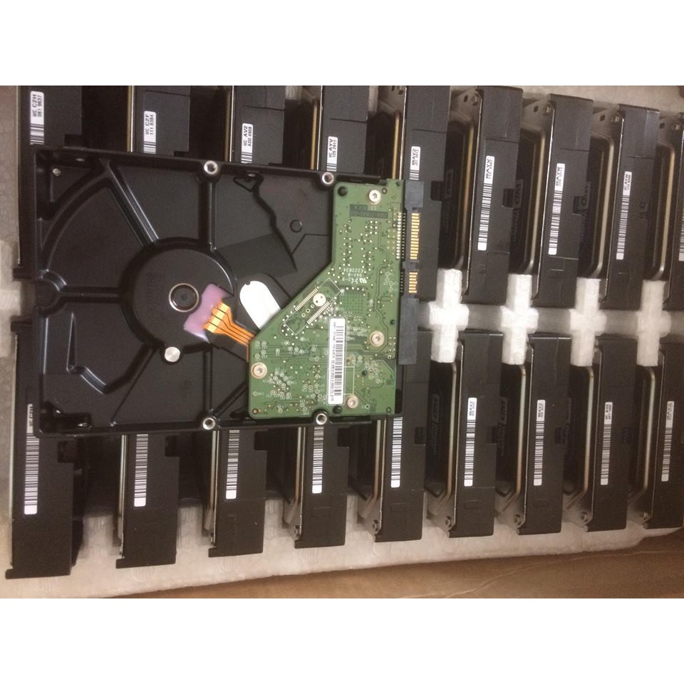 Ổ Cứng 250G Máy Tính Bàn Western Bảo Hành 24T