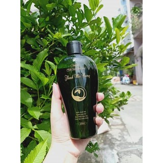 Dầu gội thảo mộc Thanh Mộc Hương