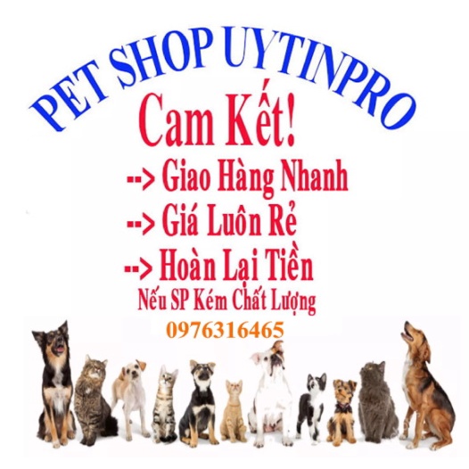 Đồ chơi cho Chó Hình đùi gà Dài 20cm Phát ra tiếng kêu Chất liệu nhựa dẻo, An toàn, Giúp thú cưng thư giãn Không cắn phá