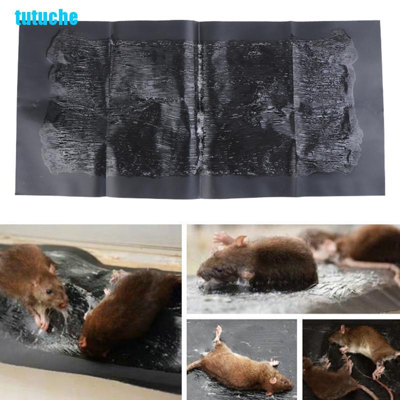 Keo Dính Chuột Siêu Dính Tiện Lợi 60cm