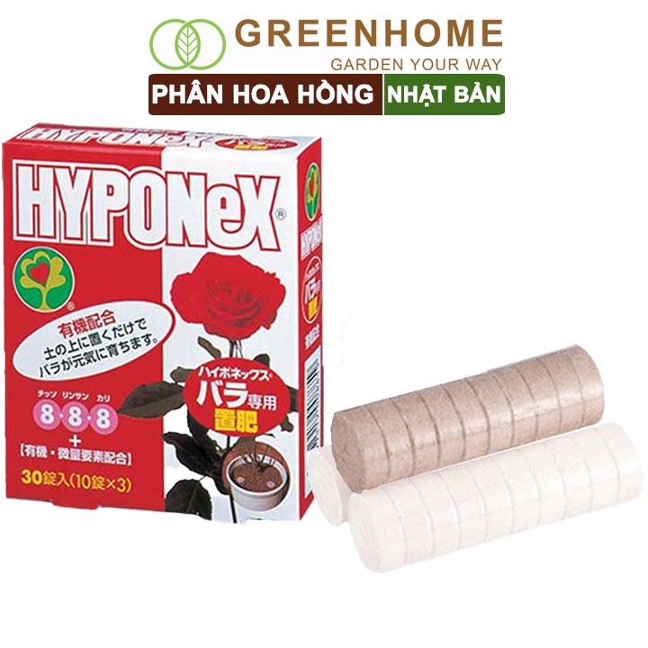 10 viên Phân bón hoa hồng Nhật, Hyponex 8.8.8, giúp thân to khoẻ, nhiều chồi, hoa to, lâu tàn |Greenhome