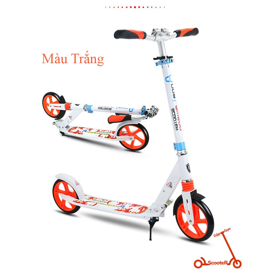 Xe trượt scooter thể thao người lớn Adults Scooter Anne Lawson Y5